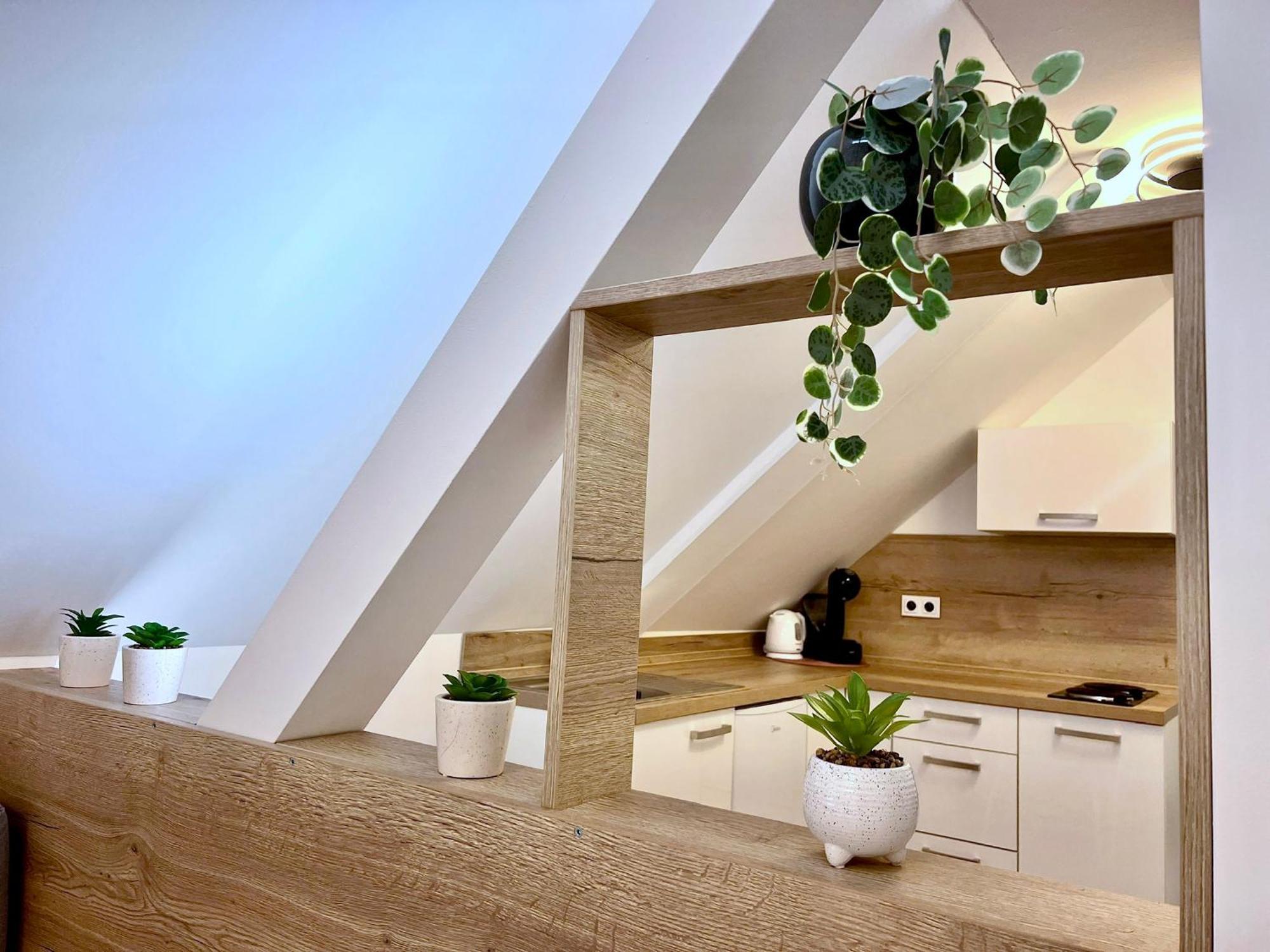 Apartman U Bobovky - Lipno Nad Vltavou Εξωτερικό φωτογραφία